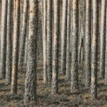 Woodspire