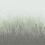 Meadow