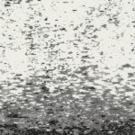 Carbonation