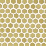 Canary - Hexagon