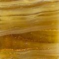 Honey Yellow VG-M781