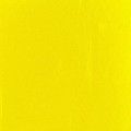 Daffodil Yellow VG-755
