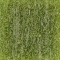 Chartreuse Green VG-633