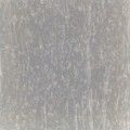 Silver Grey VG-604