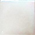 Glister White VG-O604