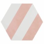 Conch Shell - Stripe