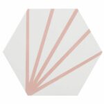 Conch Shell - Positive