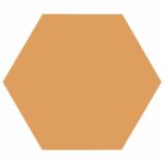 Coral - Base