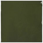 Foret Glossy