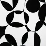 Balloonacy - Black