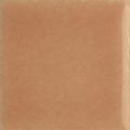 Salmon Orange GP-189
