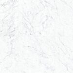 Michelangelo Extra White