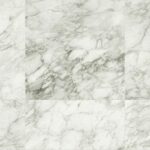 Renoir Plus
