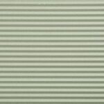 Neo Mint