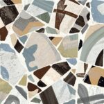 Cocci Colors