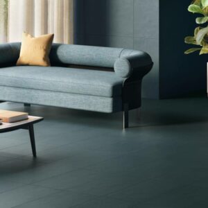 Vision Color by Landmark