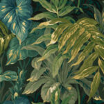 Tropical