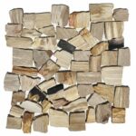 Exotics - Petrified Wood