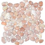 Seaside Pebble Melon