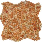 Micro Pebble Melon