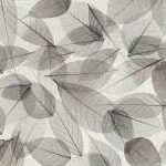 Autumn Leaf