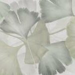 Green Ginkgo