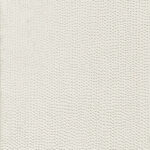 Decoro Raw 12x24