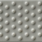 Salvia - Punch, Matte