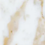 Calacatta Oro