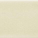Sand Dollar - 3x6 Field