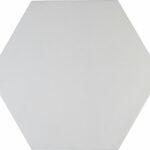 Light Gray - 9in Hex
