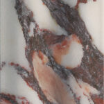 Calacatta Viola - Roman Regular