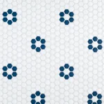 Daily - Navy